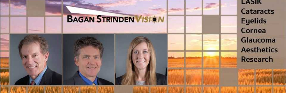 Bagan Strinden Vision Cover Image